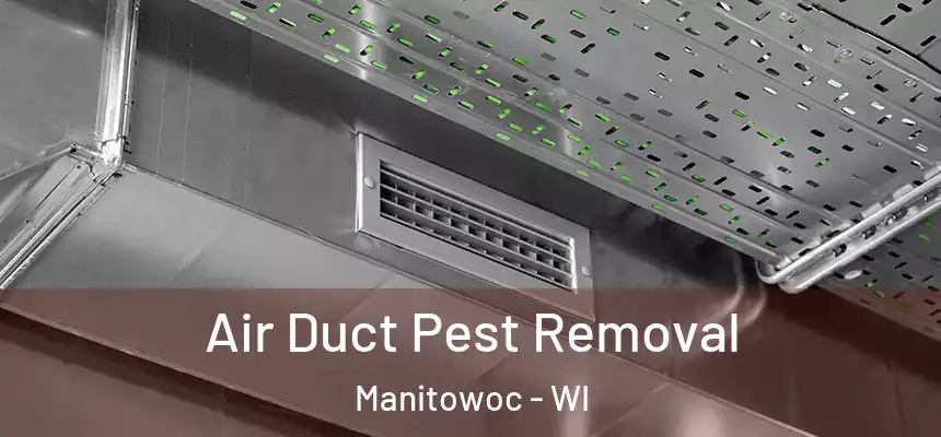 Air Duct Pest Removal Manitowoc - WI