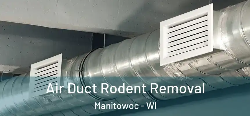 Air Duct Rodent Removal Manitowoc - WI