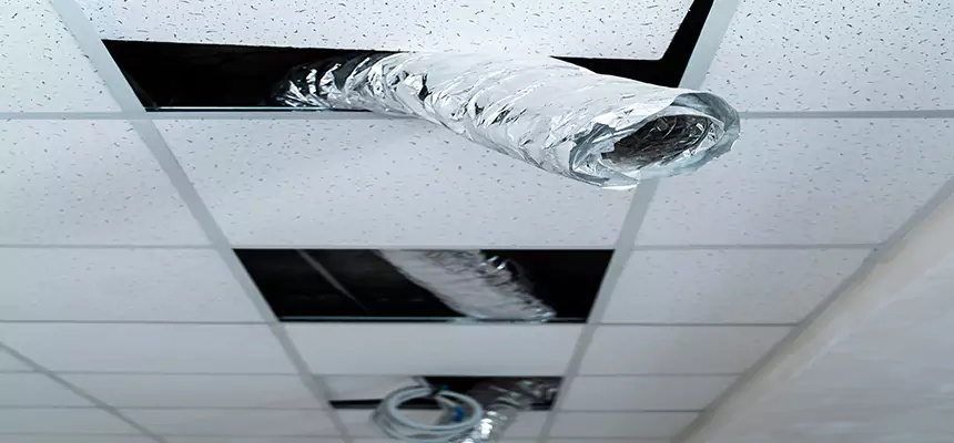 Our Air Duct Pet Hair Removal Services in Manitowoc, WI