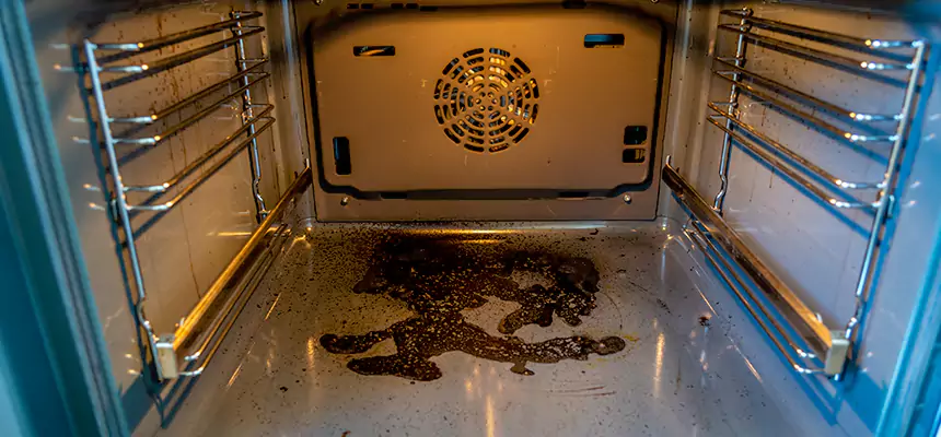 Our Dryer Vent Mold Cleaning Services in Manitowoc, WI