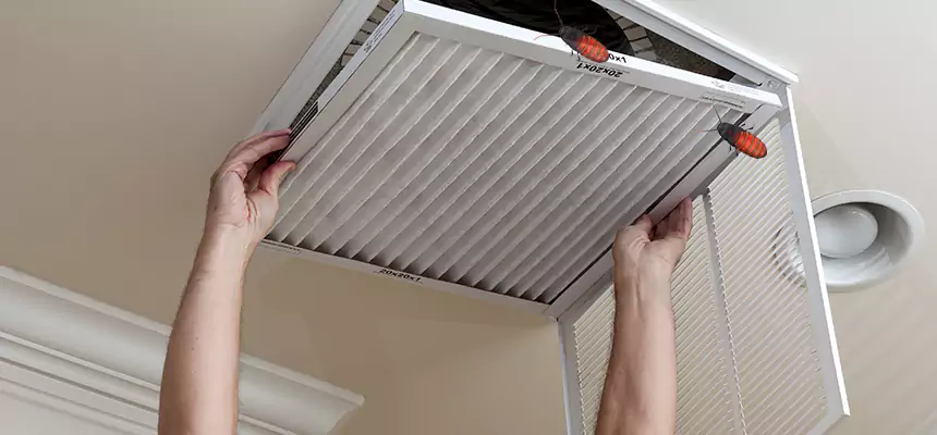 Our Insect Removal from Air Ducts Services in Manitowoc, WI