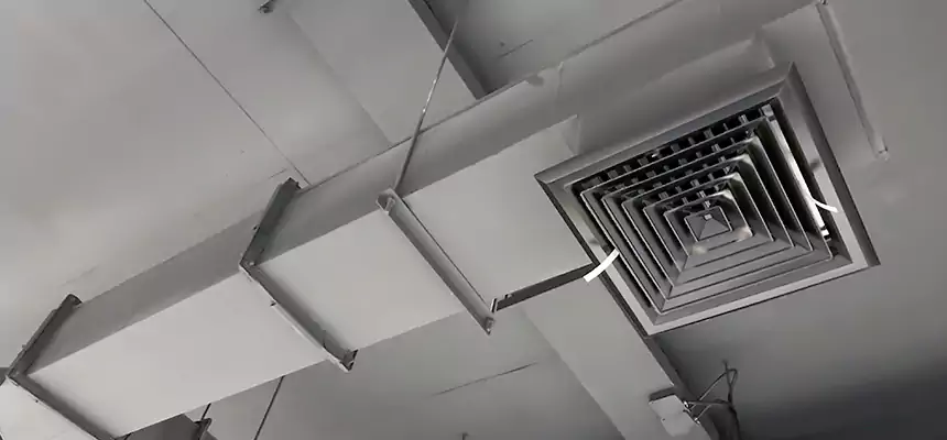 Our Rodent Droppings In Vents Services in Manitowoc, WI