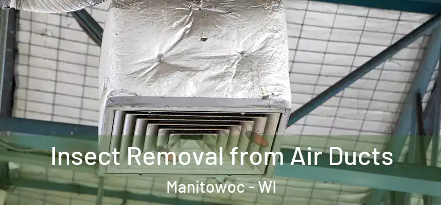 Insect Removal from Air Ducts Manitowoc - WI