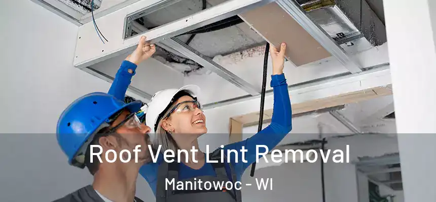  Roof Vent Lint Removal Manitowoc - WI