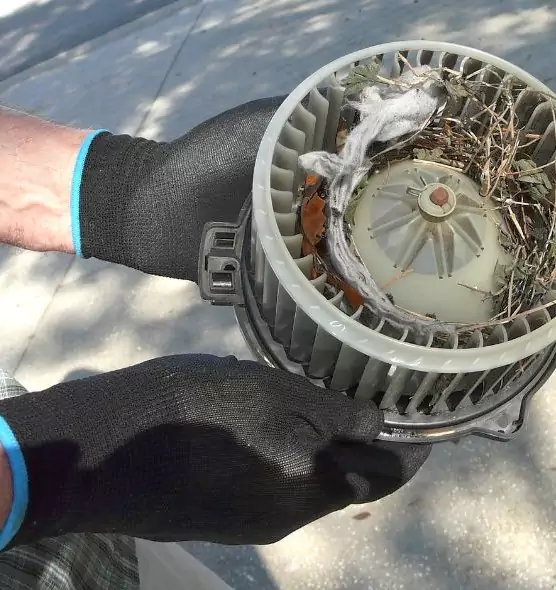 About Air Duct Mice Removal in Manitowoc, WI