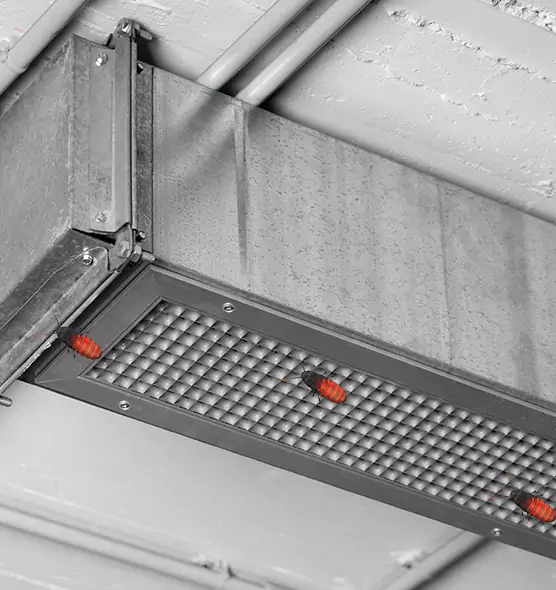 Affordable Insect Removal from Air Ducts in Manitowoc, WI