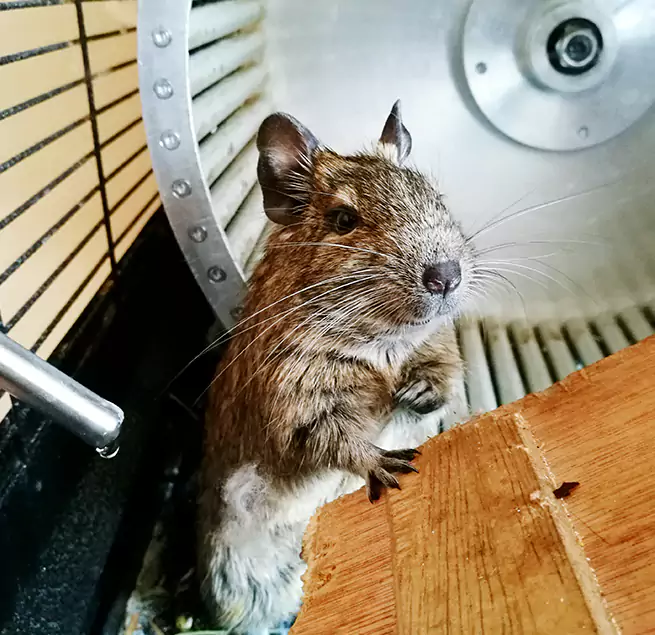 Why Homeowners & Businesses Trust Us Manitowoc, WI?