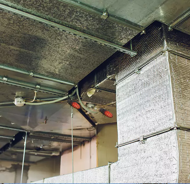 Why Homeowners & Businesses Trust Us Manitowoc, WI?